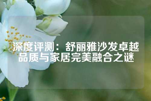 深度评测：舒丽雅沙发卓越品质与家居完美融合之谜