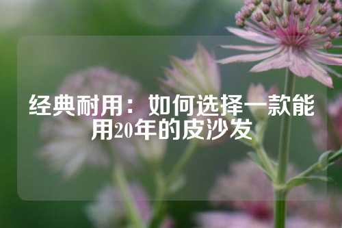 经典耐用：如何选择一款能用20年的皮沙发