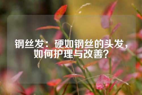 钢丝发：硬如钢丝的头发，如何护理与改善？