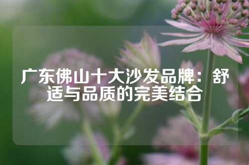 广东佛山十大沙发品牌：舒适与品质的完美结合