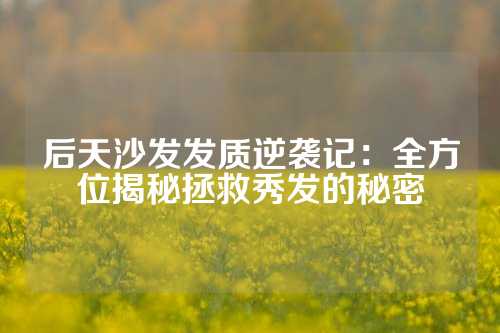后天沙发发质逆袭记：全方位揭秘拯救秀发的秘密