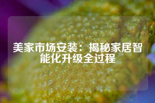 美家市场安装：揭秘家居智能化升级全过程