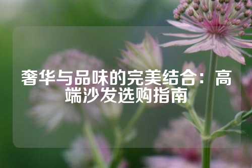 奢华与品味的完美结合：高端沙发选购指南