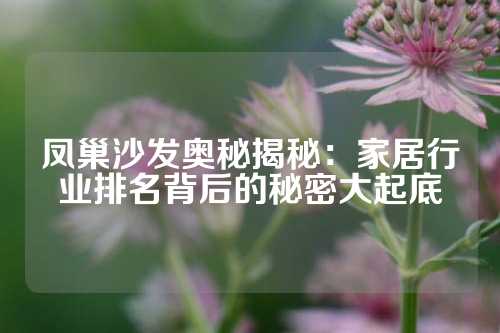 凤巢沙发奥秘揭秘：家居行业排名背后的秘密大起底