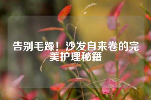 告别毛躁！沙发自来卷的完美护理秘籍