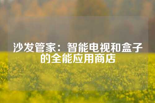 沙发管家：智能电视和盒子的全能应用商店