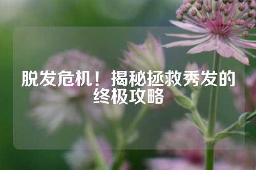 脱发危机！揭秘拯救秀发的终极攻略