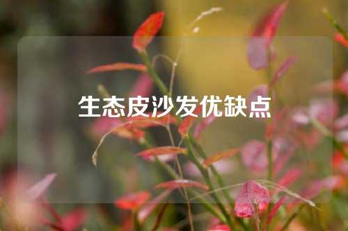 生态皮沙发优缺点