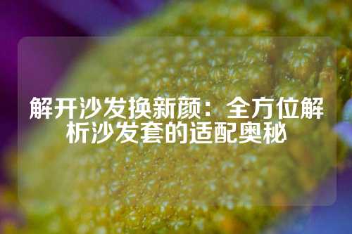 解开沙发换新颜：全方位解析沙发套的适配奥秘