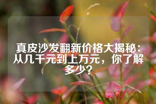 真皮沙发翻新价格大揭秘：从几千元到上万元，你了解多少？