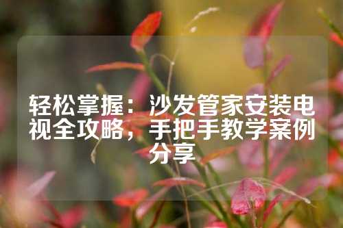 轻松掌握：沙发管家安装电视全攻略，手把手教学案例分享
