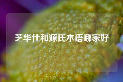 芝华仕和源氏木语哪家好
