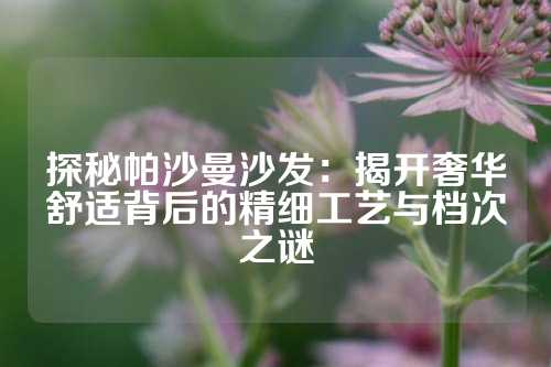 探秘帕沙曼沙发：揭开奢华舒适背后的精细工艺与档次之谜