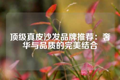 顶级真皮沙发品牌推荐：奢华与品质的完美结合