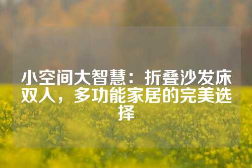 小空间大智慧：折叠沙发床双人，多功能家居的完美选择