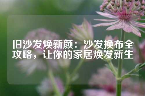 旧沙发焕新颜：沙发换布全攻略，让你的家居焕发新生