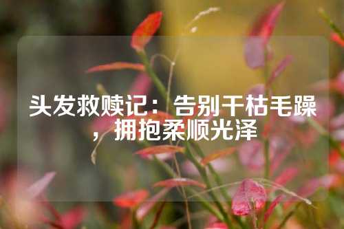 头发救赎记：告别干枯毛躁，拥抱柔顺光泽