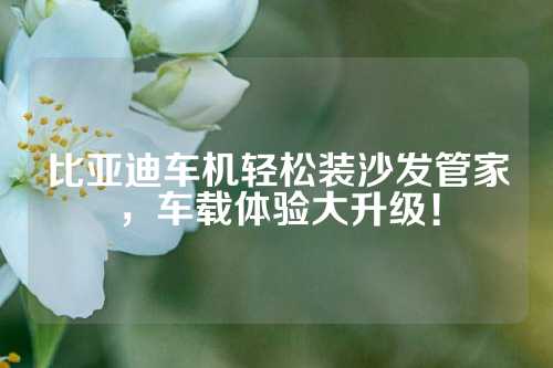 比亚迪车机轻松装沙发管家，车载体验大升级！