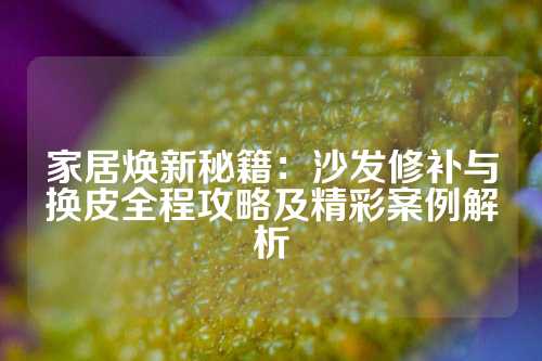 家居焕新秘籍:沙发修补与换皮全程攻略及精彩案例解析