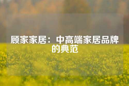 顾家家居：中高端家居品牌的典范