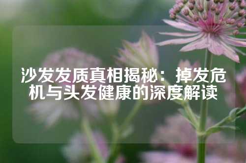 沙发发质真相揭秘：掉发危机与头发健康的深度解读
