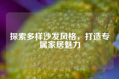 探索多样沙发风格,打造专属家居魅力