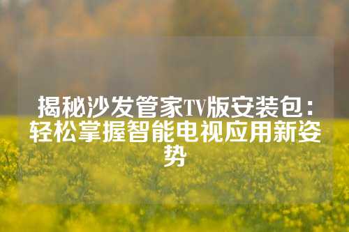 揭秘沙发管家TV版安装包：轻松掌握智能电视应用新姿势