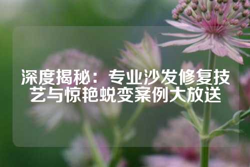 深度揭秘：专业沙发修复技艺与惊艳蜕变案例大放送