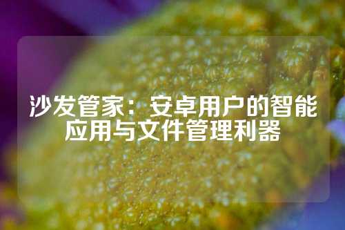沙发管家：安卓用户的智能应用与文件管理利器