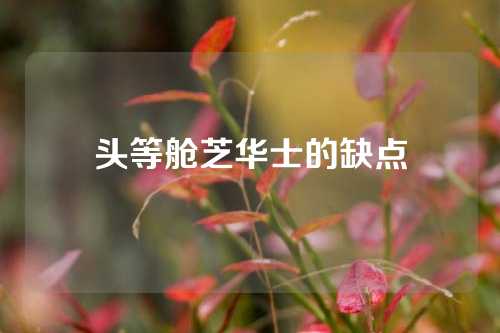 头等舱芝华士的缺点