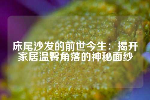 床尾沙发的前世今生：揭开家居温馨角落的神秘面纱