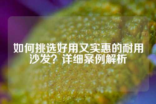 如何挑选好用又实惠的耐用沙发？详细案例解析