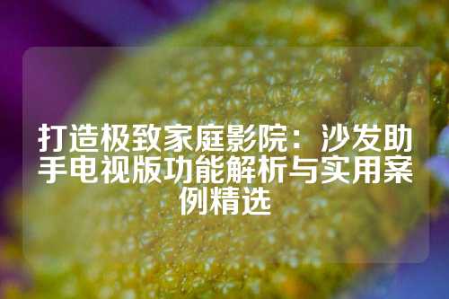 打造极致家庭影院：沙发助手电视版功能解析与实用案例精选