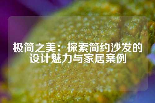极简之美：探索简约沙发的设计魅力与家居案例