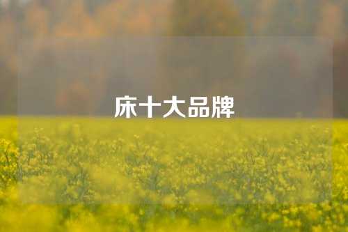床十大品牌