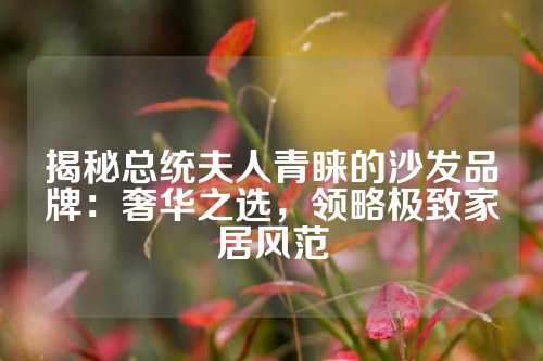揭秘总统夫人青睐的沙发品牌：奢华之选，领略极致家居风范