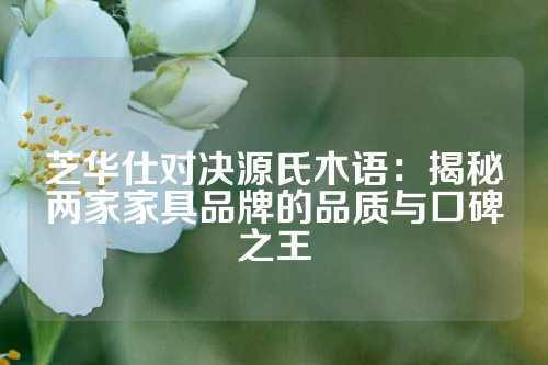 芝华仕对决源氏木语：揭秘两家家具品牌的品质与口碑之王