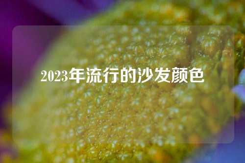 2023年流行的沙发颜色