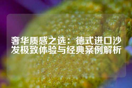 奢华质感之选：德式进口沙发极致体验与经典案例解析