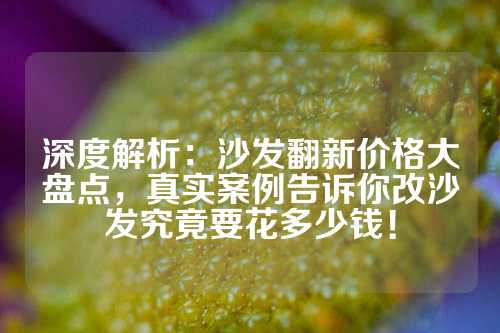 深度解析：沙发翻新价格大盘点，真实案例告诉你改沙发究竟要花多少钱！