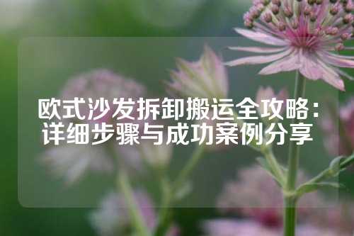 欧式沙发拆卸搬运全攻略：详细步骤与成功案例分享