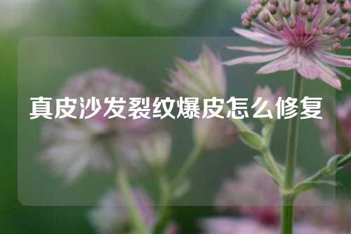 真皮沙发裂纹爆皮怎么修复