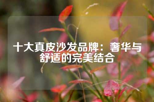 十大真皮沙发品牌:奢华与舒适的完美结合