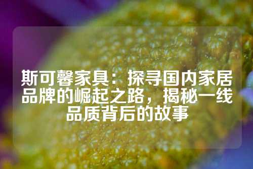 斯可馨家具：探寻国内家居品牌的崛起之路，揭秘一线品质背后的故事