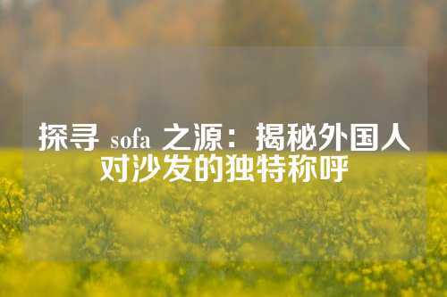 探寻 sofa 之源：揭秘外国人对沙发的独特称呼