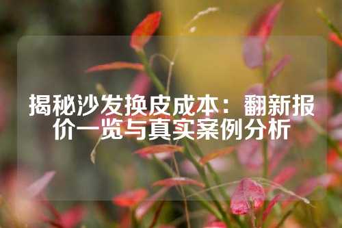 揭秘沙发换皮成本：翻新报价一览与真实案例分析