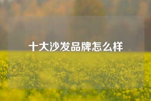 十大沙发品牌怎么样