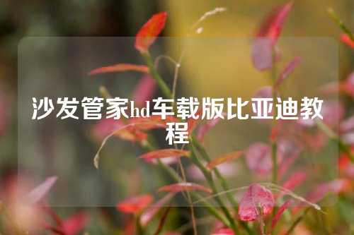 沙发管家hd车载版比亚迪教程