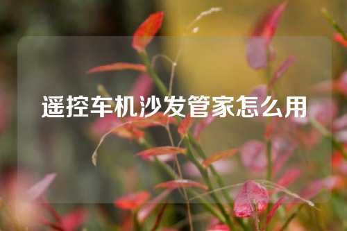 遥控车机沙发管家怎么用