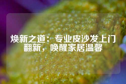 焕新之道：专业皮沙发上门翻新，唤醒家居温馨